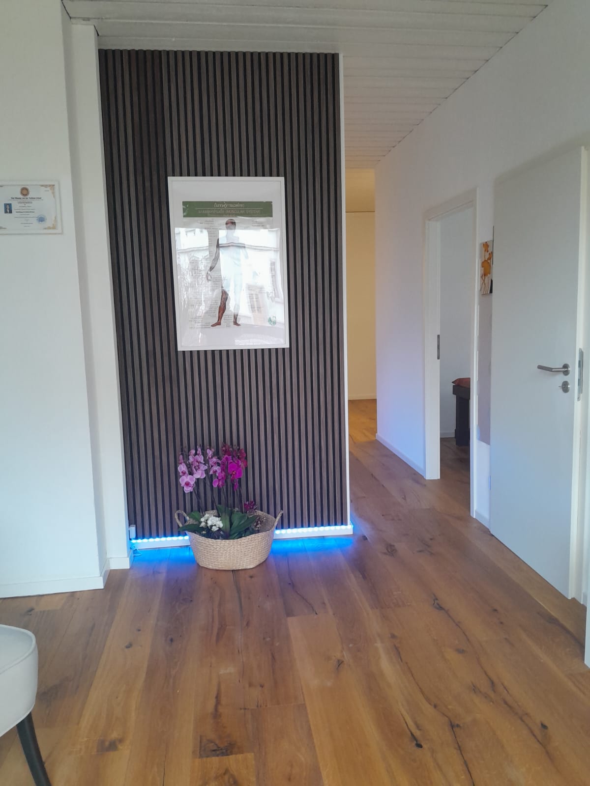 WhatsApp Image 2026-03-25 at 17.34.31